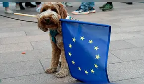 Eurocámara: ¿Cuál es el juego de alianzas de las familias políticas europeas?