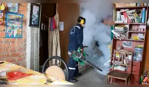 Cusco: Quillabamba en alto riesgo por dengue, chikungunya y zika