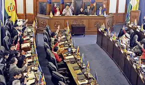 Senado aprueba proyecto para convocar nuevas elecciones sin Evo Morales