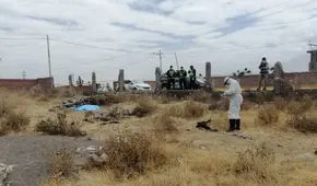 Arequipa: hombre fue atacado por perros callejeros en Characato