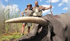 Contra el tráfico de marfil