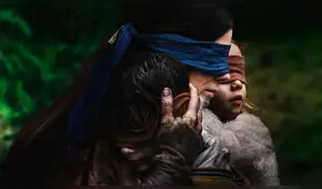 Netflix pide que no participen en el "Bird Box Challenge" por esta alarmante razón [VIDEOS]