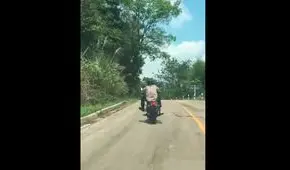 Sorprende en YouTube aparición de serpiente en pleno viaje de motocicleta [VIDEO]