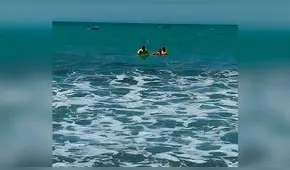 Salvan de morir ahogados a tres bañistas en playas de Moquegua