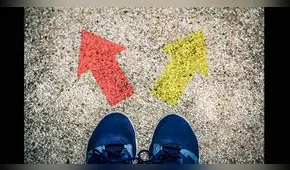 Mundo académico: Importancia de la orientación vocacional