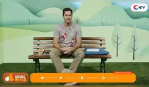 Cómo evitar la ansiedad en las mascotas - Entre patas