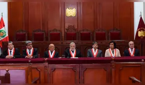 Blume: “Es el Pleno del TC el que define a qué magistrado se reemplaza”