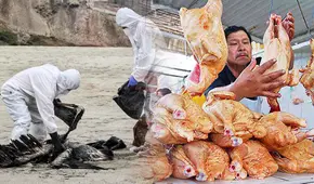 Gripe aviar: ¿hay peligro por consumir huevos, carne de pollo, pato o pavo en nuestros hogares?