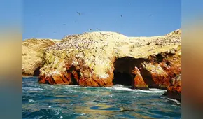 Paracas: denuncian que transportarían minerales por reserva nacional