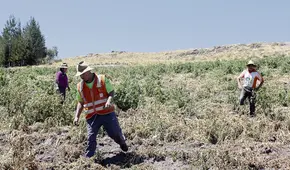 Potenciales beneficiarios del bono por sequía serían cerca de 500.000