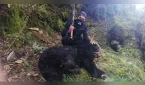 Indignación en Puno por sujeto que cazó a oso de anteojos y posó con su cuerpo  