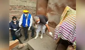 Locales clandestinos de alimentos generan plaga de roedores en Trujillo