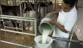 Gloria importó 216 mil toneladas de leche en polvo para elaborar sus productos