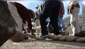 Todo listo para la renovación del Q’ESWACHAKA [VIDEO]