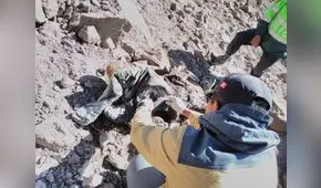 Escuadrón de rescate halla cadáver de montañista en nevado Coropuna [VIDEO]