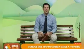 Entre Patas: Tipos de comida para perros y cuál es el ideal para tu mascota