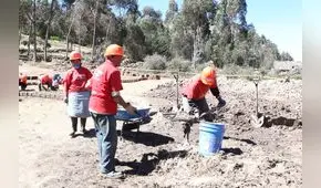 San Martín: Crean más de mil empleos temporales para pobladores pobres
