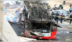 Fiori: Indecopi inicia proceso sancionador a empresa Sajy Bus 