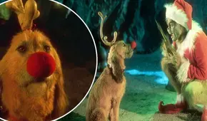 “El Grinch”: ¿Max fue abandonado? Teoría de fans devasta a amantes de canes