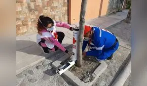 En Arequipa, instalan comederos para perritos y piden apoyo para abastecerlos  