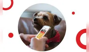 ¡Juegue desde casa! Participe del sorteo de S/ 657 millones este miércoles 