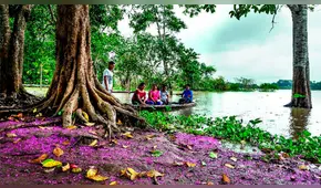 Selva Peruana: ¿Cuáles son los lugares turísticos obligados para todo amante de la aventura?