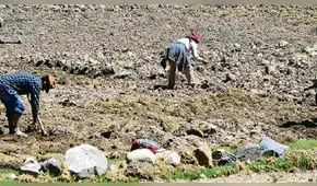 Pleno Agrario no tiene en agenda ampliación de beneficios laborales