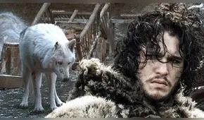 Game of Thrones 8x05: No había presupuesto para que Jon abrace a Ghost