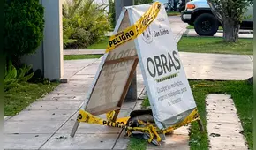 Gripe aviar en Perú: ¿cómo reportar la presencia de aves muertas o enfermas?