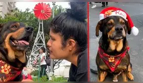 ¿Quién es ‘Chulito’, el perro con cáncer que ayuda a su dueña a vender sandalias para su tratamiento?