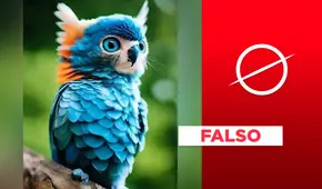 Ni esta foto es real ni existen los búhos azules