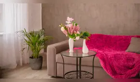 Flores y plantas para una decoración primaveral
