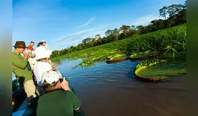 Allpahuayo  Mishana, el santuario de la biodiversidad selvática