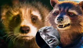 Rocket Raccoon podría morir en “Guardianes de la galaxia 3″: ¿Por qué?