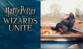 Nuevo video de Harry Potter: Wizards Unite muestra a un simpático escarbato
