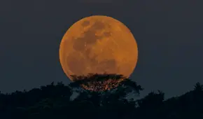  Superluna y eclipse total 2019 EN VIVO: Horarios de la Luna Sangre de Lobo en México y en Perú