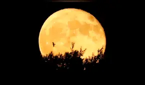 Luna de cosecha 2019: descubre qué efectos causará en los signos, según el horóscopo 