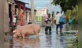 México: Un desaparecido y 200 casas dañadas por Max 