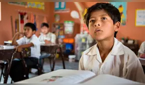 El TEL y la brecha que existe con la educación básica regular en el Perú  