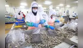 Pejerrey y concha de abanico volverán a ser exportados al mercado chino