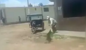 Facebook: hombre que propina brutal golpiza a perro indigna a Lambayeque | VIDEO