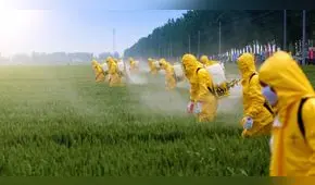 Conoce qué es el glifosato y para qué se utiliza