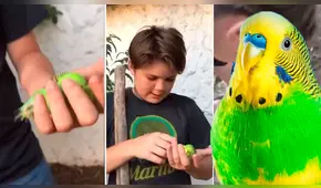 Facebook: marca de condones usa el "Adiós Chimuelo" para dar curioso mensaje [FOTO]