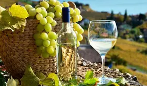 ¿Por qué en Chile argumentan que el pisco es suyo?