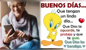 ¿Cómo y de dónde surgieron las imágenes de Piolín con frases motivadoras?