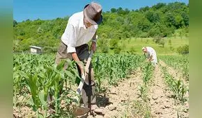 A fines de enero se aprobará el segundo Fertiabono