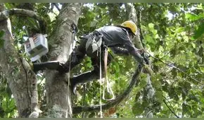 Un biólogo en la selva [Video]