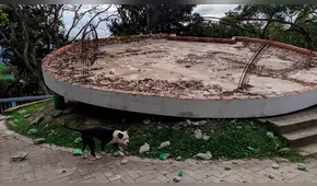 Terremoto en Loreto: Las imágenes de los estragos que dejó el movimiento telúrico [FOTOS]