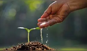 Solsticio de verano: los mejores rituales para recibirlo según tu signo del zodiaco [FOTOS]