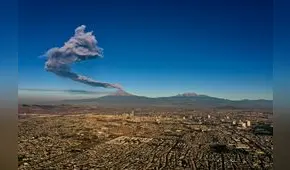 Popocatépetl: Avión en el que iban caballos cruzó el Atlántico dos veces, pero volvió al mismo punto de partida